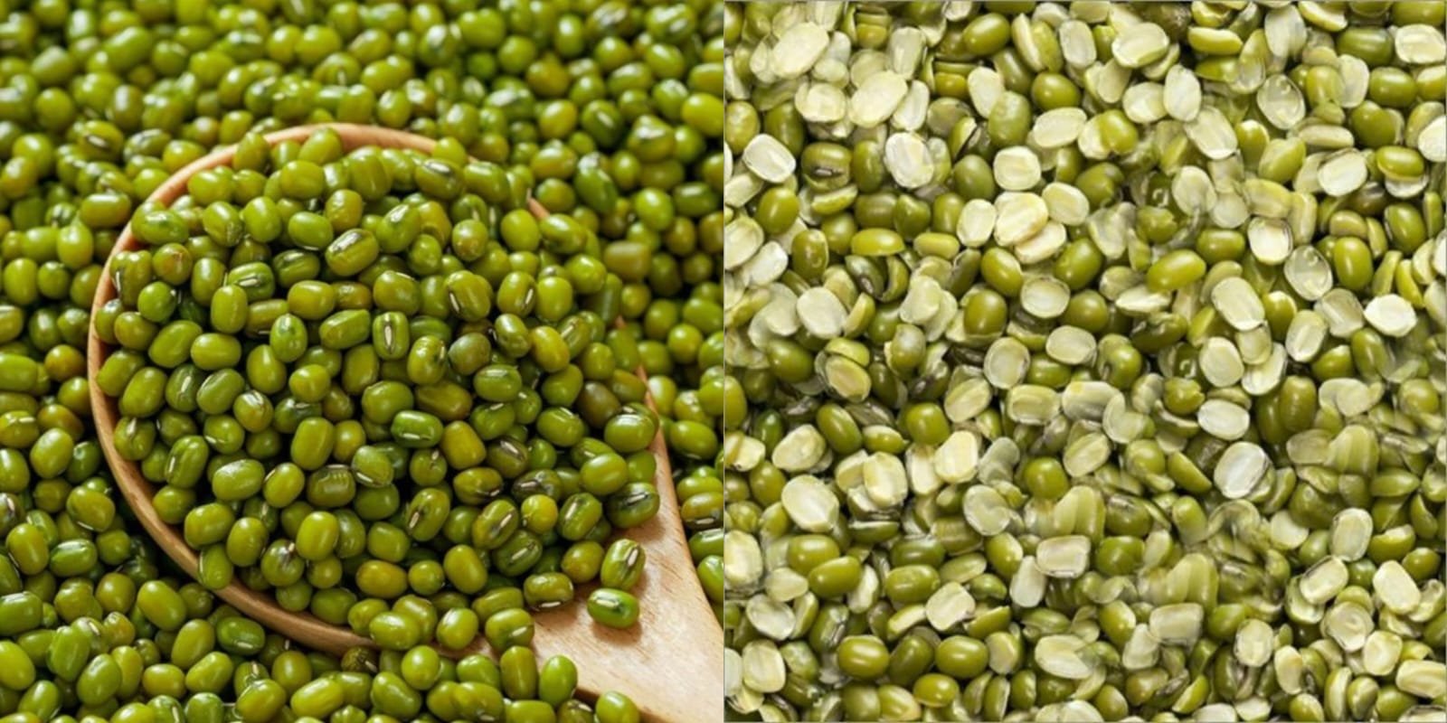 Moong and Moong Dal - Pulses / Dals Supplier India
